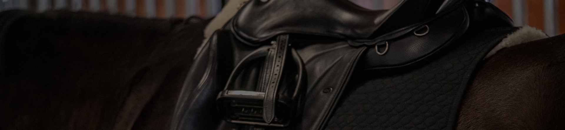 background image of horse back and saddle