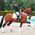 Valverde-trot-2
