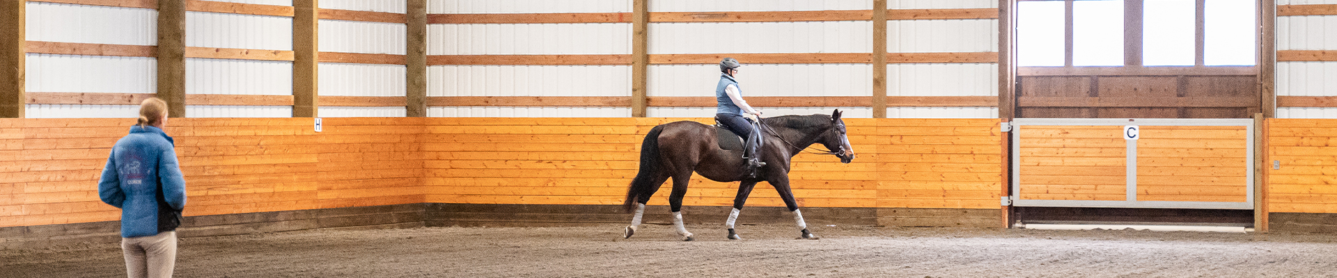 Training arena with horse and rider