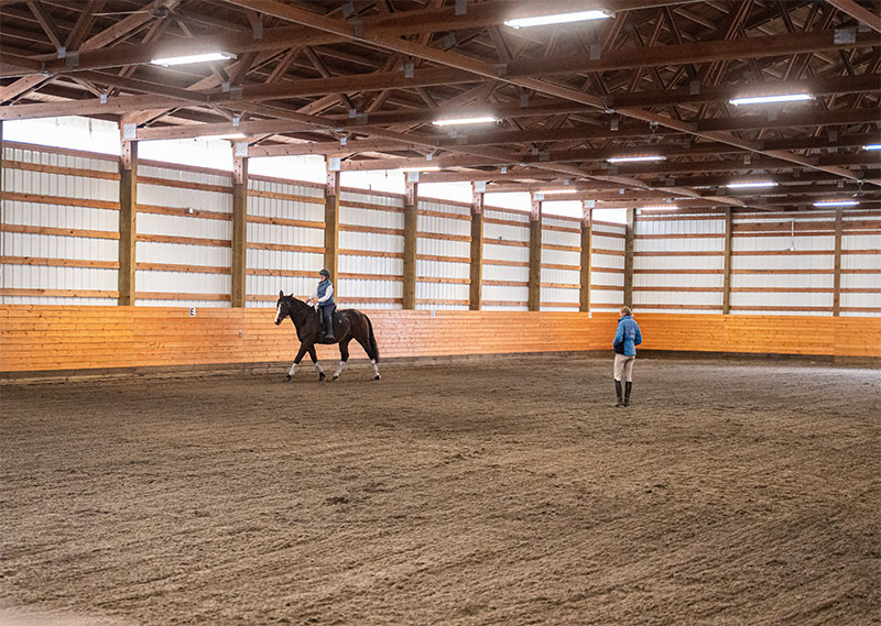 horse training arena with horse and rider